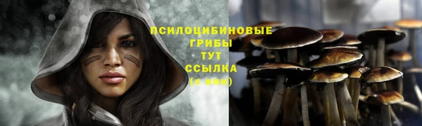 прущая мука Нея