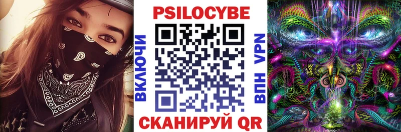 Псилоцибиновые грибы Psilocybine cubensis  Пугачёв 
